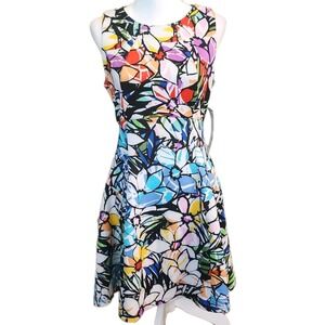 Spense Floral Multicolor Sleeveless Dress